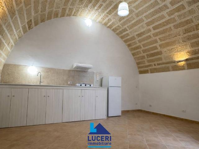 Palazzo / Stabile in vendita a Sannicola LE