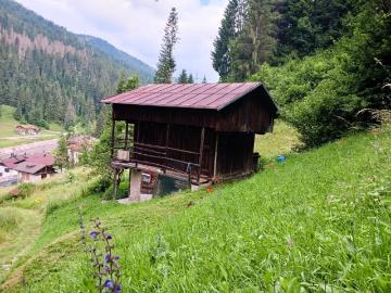 Palazzo / Stabile in vendita a Santo Stefano di Cadore BL
