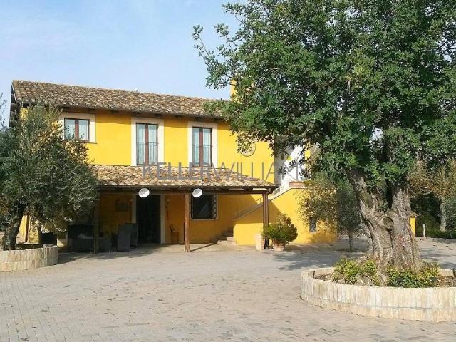 Palazzo / Stabile in vendita a Sant'Omero TE