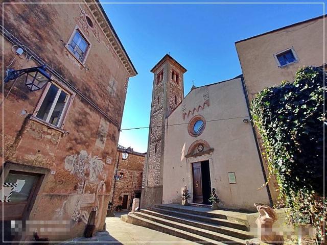 Palazzo / Stabile in vendita a Sassetta LI