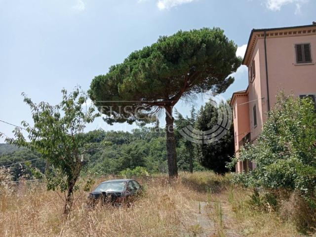 Palazzo / Stabile in vendita a Sassetta LI