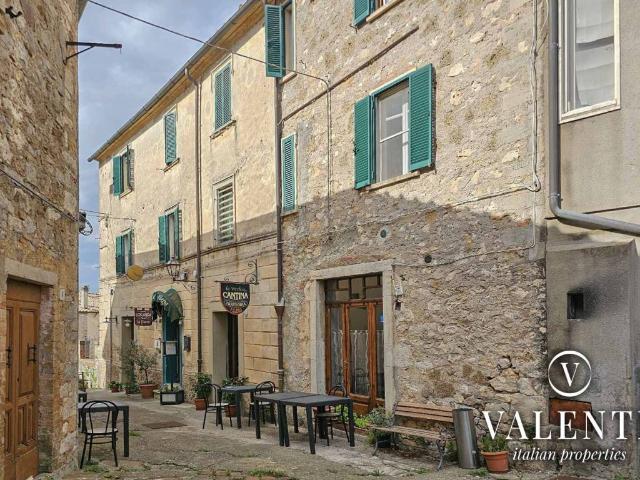 Palazzo / Stabile in vendita a Semproniano GR