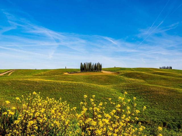Palazzo / Stabile in vendita a Siena SI
