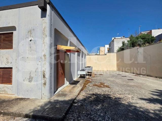 Palazzo / Stabile in vendita a Tuglie LE