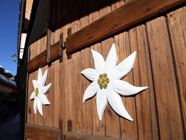 Palazzo / Stabile in vendita a Tarvisio UD
