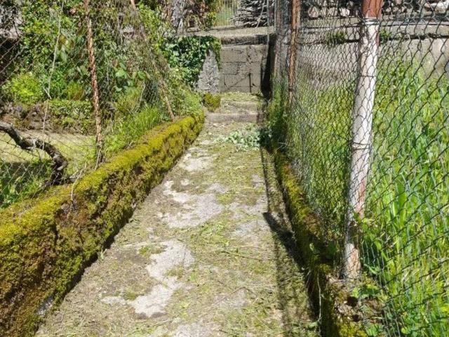 Palazzo / Stabile in vendita a Torriglia GE