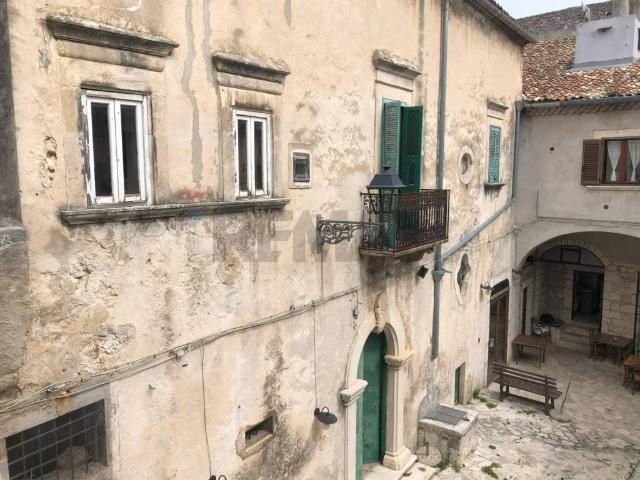 Palazzo / Stabile in vendita a Vico del Gargano FG