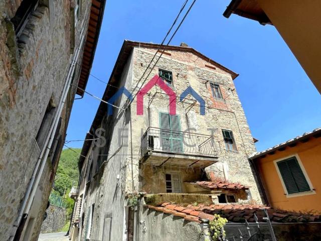 Palazzo / Stabile in vendita a Villa Basilica LU