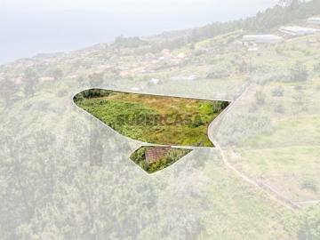 PALHEIRO COM 1570 M2 VISTA MAR | PONTA DO SOL | ILHA DA MADEIRA