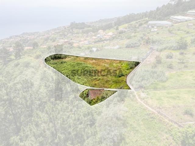 PALHEIRO COM 1570 M2 VISTA MAR | PONTA DO SOL | ILHA DA MADEIRA