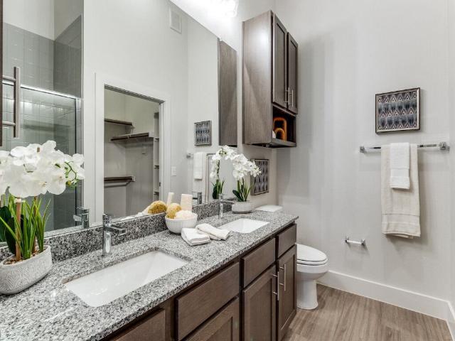 Palladium City Skyline 1 Bedroom Apartment for Rent at 4909 E Lancaster Ave, Fort Worth, TX 76103 Central Meadowbrook