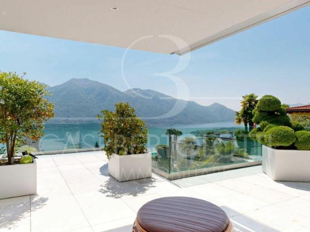 Palm3. Zwischen Palmen. Licht. Lago Maggiore