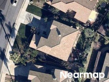 Palm Tree Ln