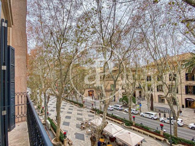 Palma De Mallorca