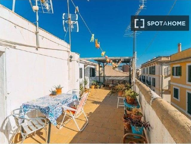 palma_de_mallorca, Balearic Islands 07002