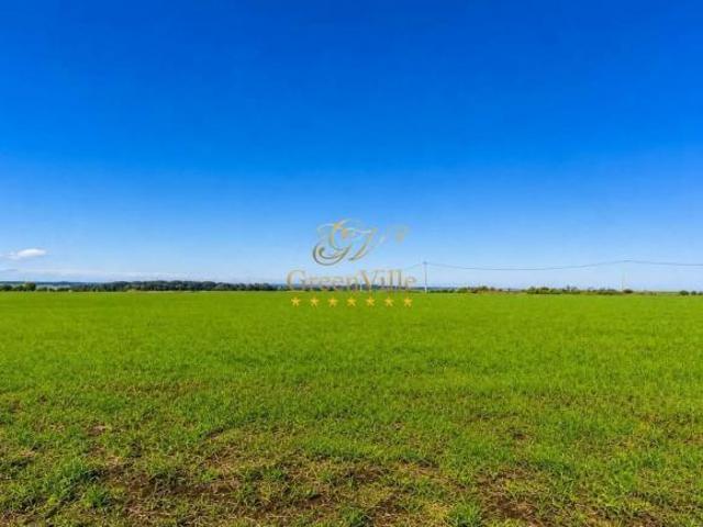 Palmeira | 242 Hectares | 100 Alqueires | Dupla Aptidão