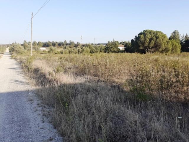 PALMELA, AGUALVA DE CIMA 1,503500 ha