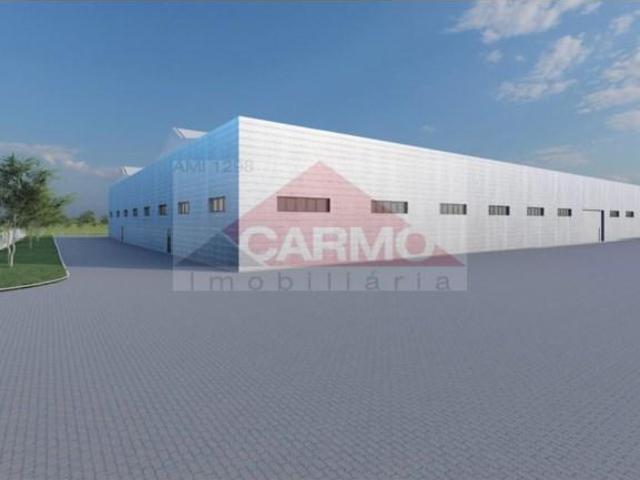 Montijo Montijo 102459269