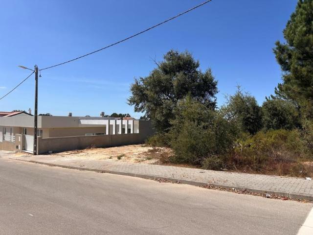 Palmela Setúbal 105237380