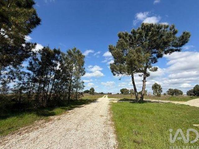 Palmela Setubal 100684738