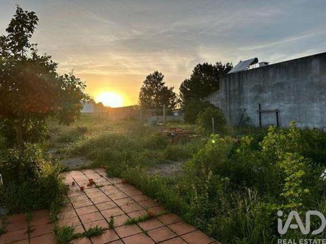 Palmela Setubal 103846679