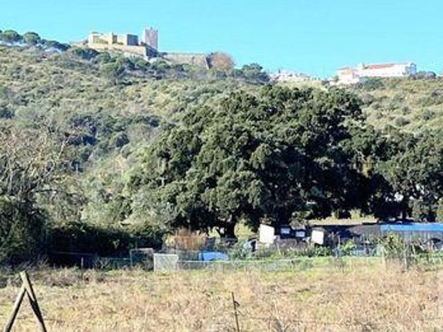 Palmela Setubal 91819376