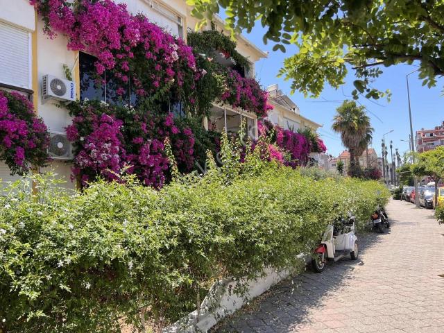 Palmera'dan Marmaris Merkez 2+1 Kupon Yatırımlık Fırsat Daire