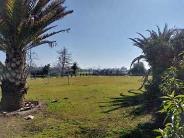 PALO ALTO LO ARCAYA CHICUREO COLINA