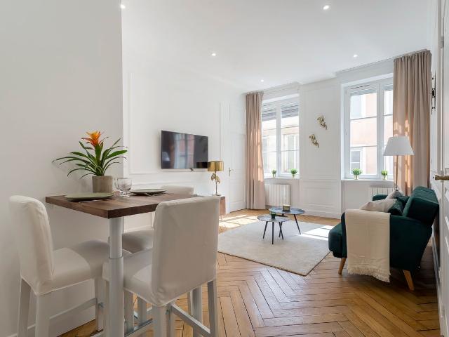 Papyrus – Furnished apartment near Hôtel de ville, Lyon Amsterdam Apartments for Rent