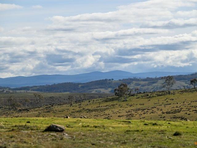 Part Braeside