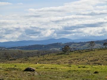Part Braeside