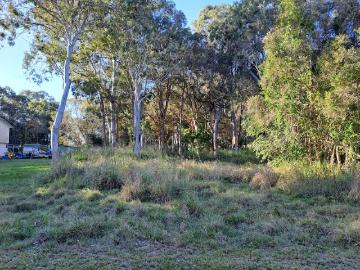 PARTIALLY CLEARED BLOCK FACING CONSERVATION AREA