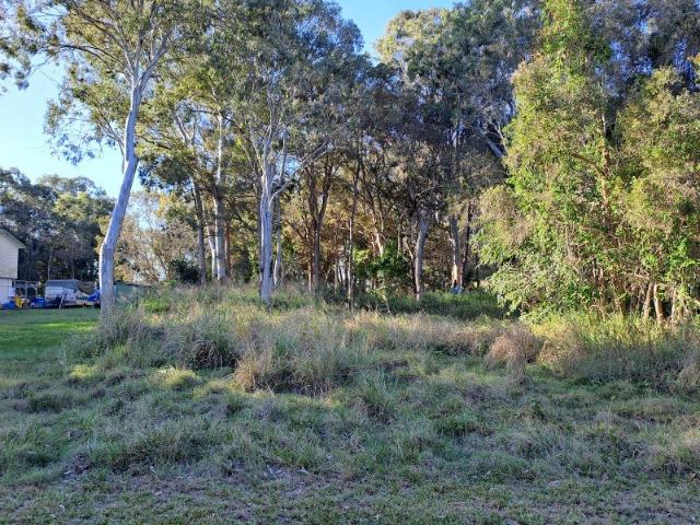 PARTIALLY CLEARED BLOCK FACING CONSERVATION AREA