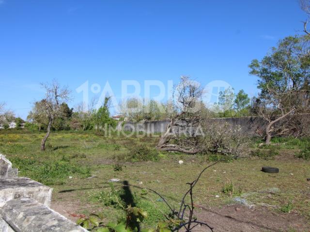 Para venda, terreno para construção, ótima localização, para várias moradias, Engenho, Marinha Grande