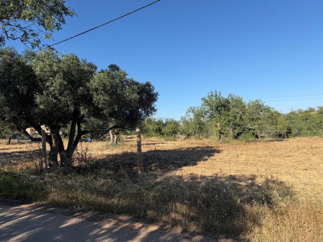 Para venda Terreno rústico em Ferreiras, Albufeira