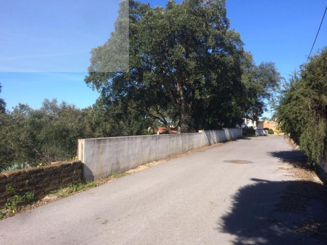 Paradela