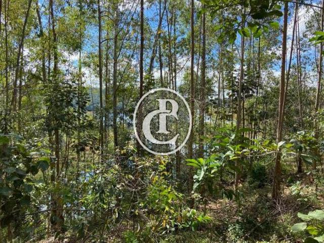 Paraibuna sp,frente com represa!