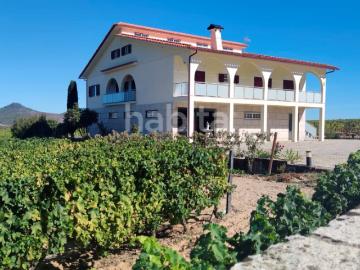 Paraíso Vinícola em Alijó: Quinta com Vinha e Produção à Venda, inserida em terreno com 3,6ha