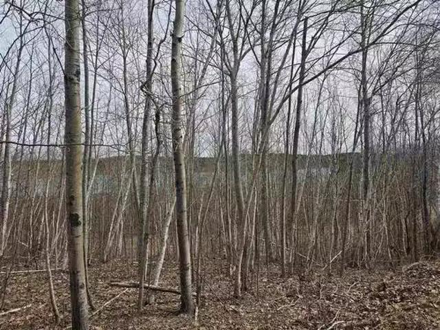 Parcel D Oakfield Park Access Road, Oakfield, NS, B2T 1B3 va.