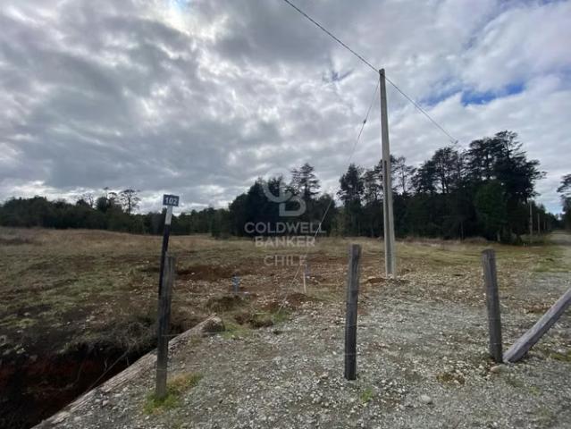 Parcela Nueva Braunau Puerto Varas | 0 dormitorios por 55000. 00 en Puerto Varas