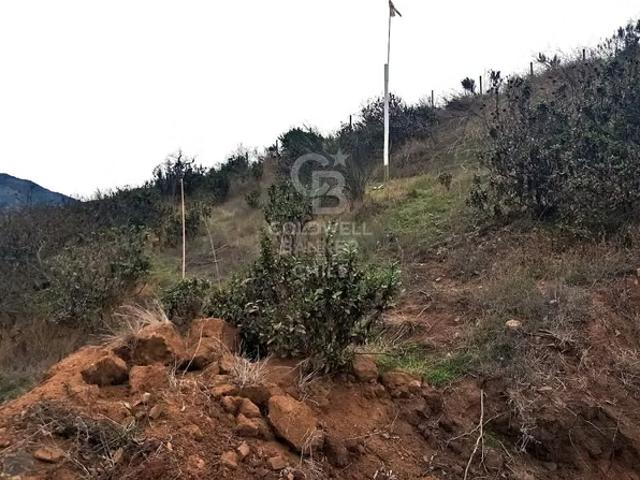 Parcela Altos de Maitencillo de 10.746M2 | 0 dormitorios por 3100.00 en Puchuncaví