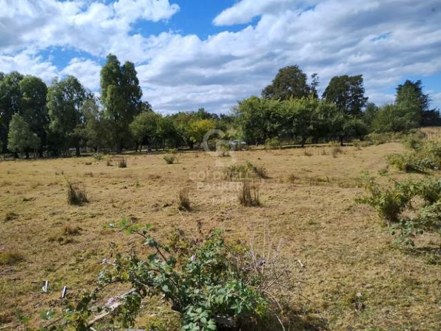Parcela colonia la radio frutillar | 0 dormitorios por 65000. 00 en Frutillar