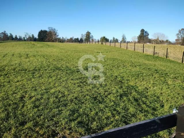 Parcela con Vista privilegiada al Volcán Osorno | 0 dormitorios por 47000. 00 en Osorno