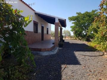 PARCELA CON VIVIENDA ENTRE HINOJOSA Y VALSEQUILLO