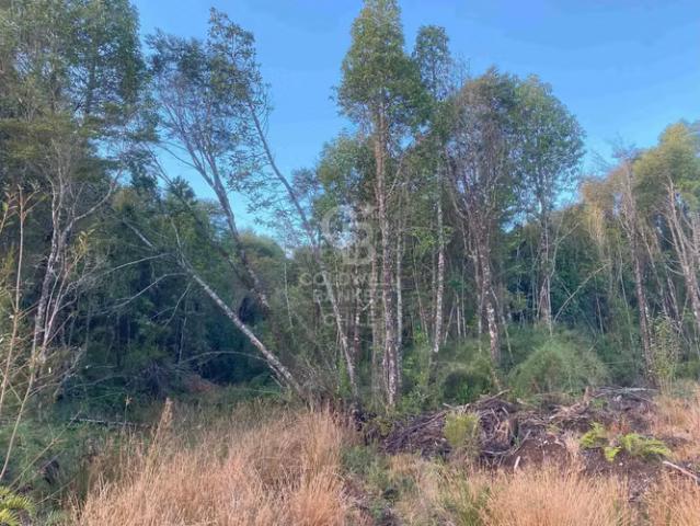 Parcela con Bosque Nativo en condominio cerrado | 0 dormitorios por 49000. 00 en Puerto Montt