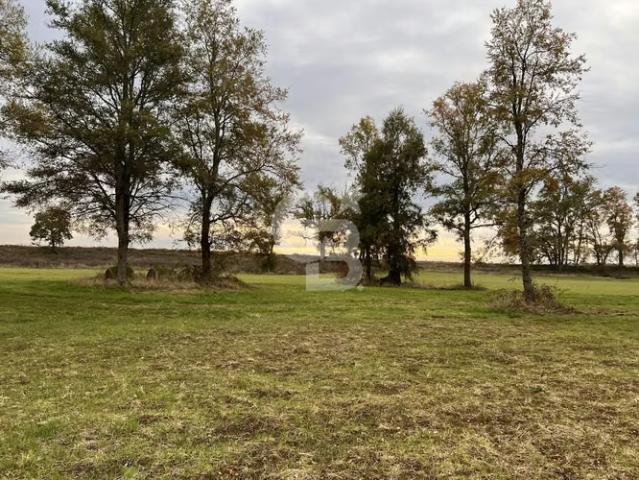 Parcela con Bosque Nativo y Río en Condominio Privado | 0 dormitorios por 58000. 00 en La Unión