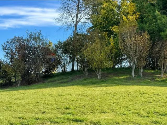 Parcela con casa amoblada. Villarrica loncoche | 4 dormitorios por 2580.00 en Loncoche