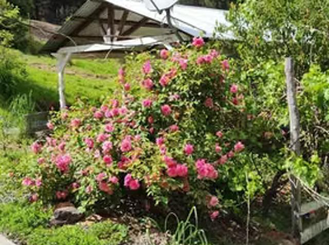 Parcela con casa en Lomas de Vaquez Longavi | 0 dormitorios por 115000. 00 en Longaví