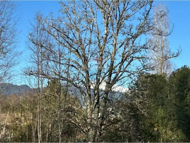 Parcela con casa en villarrica | 4 dormitorios por 99000. 00 en Villarrica
