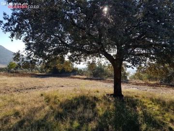 PARCELA CON CHALETS EN PLENA NATURALEZA